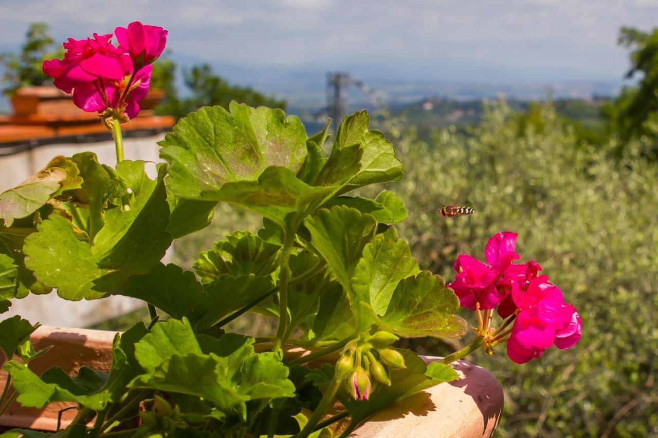 Poggio Della Roverella Country House Morlupo Εξωτερικό φωτογραφία